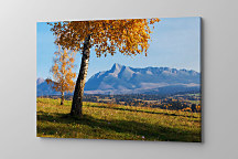 Obraz Jesenná príroda 1472